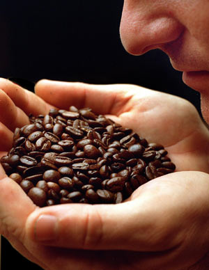 Using your senses to roast - PART 2: Smell