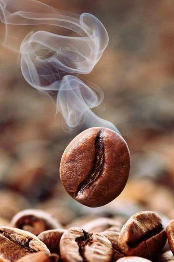 El Salvador Pulped Natural Aida Battle - La Florida Pulped Natural