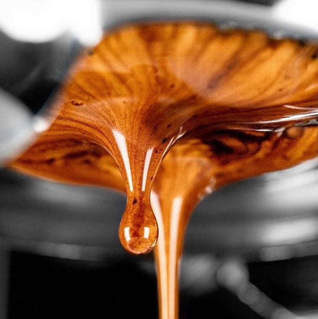 The Myth of Freshness: Why Coffee Needs to Rest Before It’s at Its Best