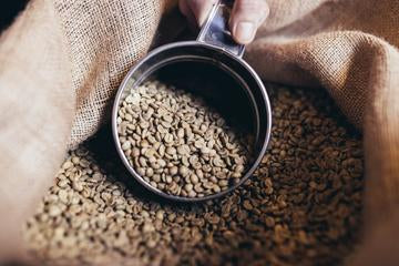 Green Coffee Grading