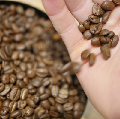Kaffeina standard blends